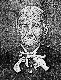 Louisa Boldrey Agnew (s 1820 - 1915)